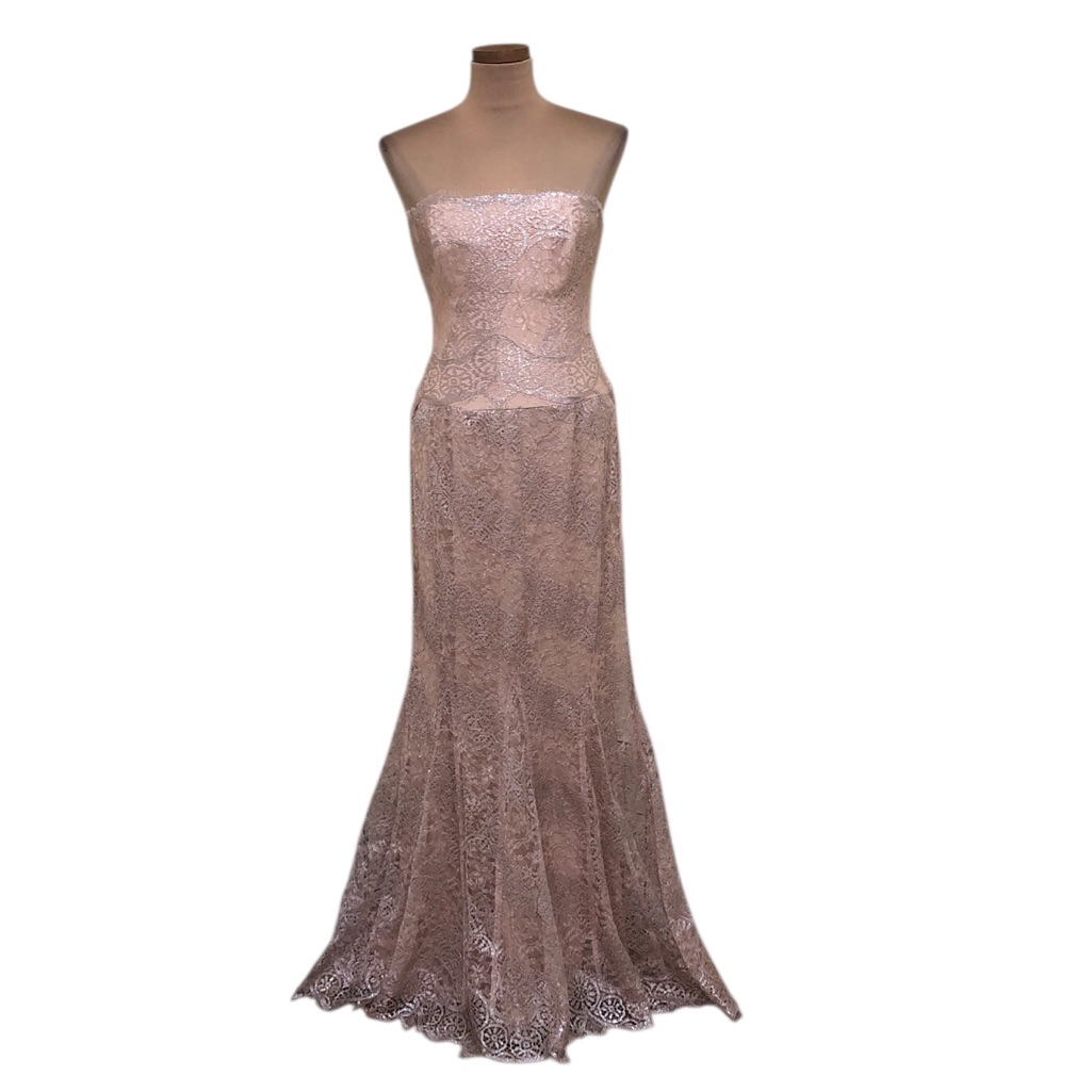 Rickie Freeman Formal Maxi Dress Size 8 Pastel Blush Pink Silver Chantilly Lace